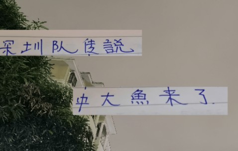 中超第29轮 申花打深圳更加难了！因为他们引进了一个英超射手